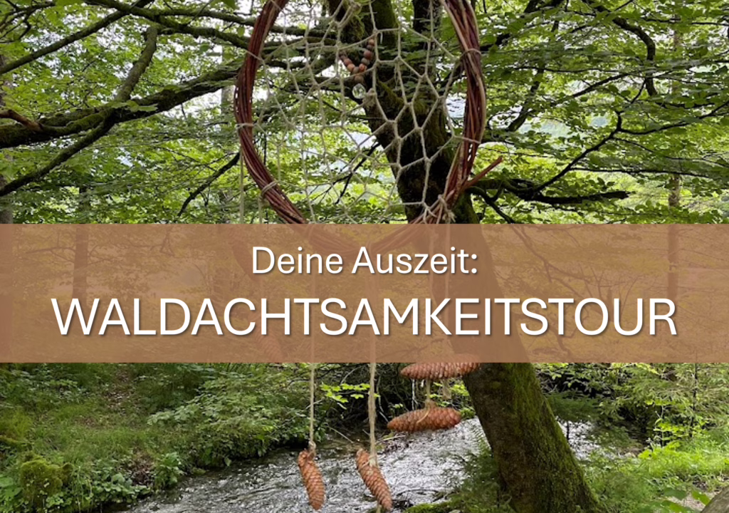 Gutschein Waldachtsamkeitstour