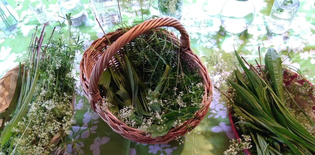 Korb mit gesammelten Wildkräutern