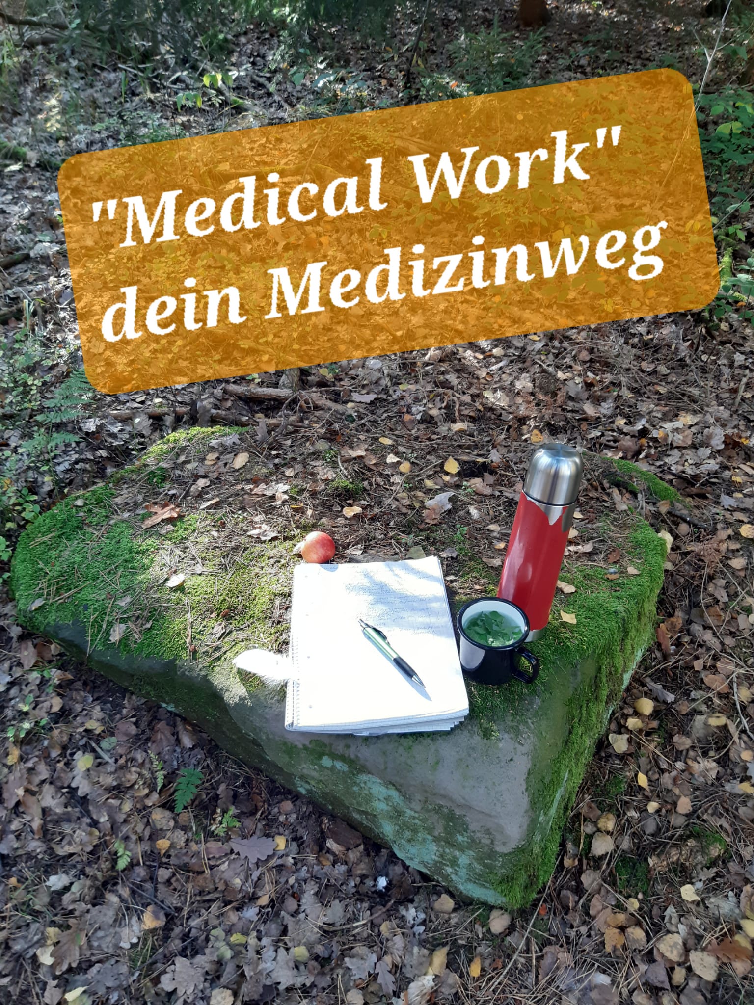 Medizinwanderung